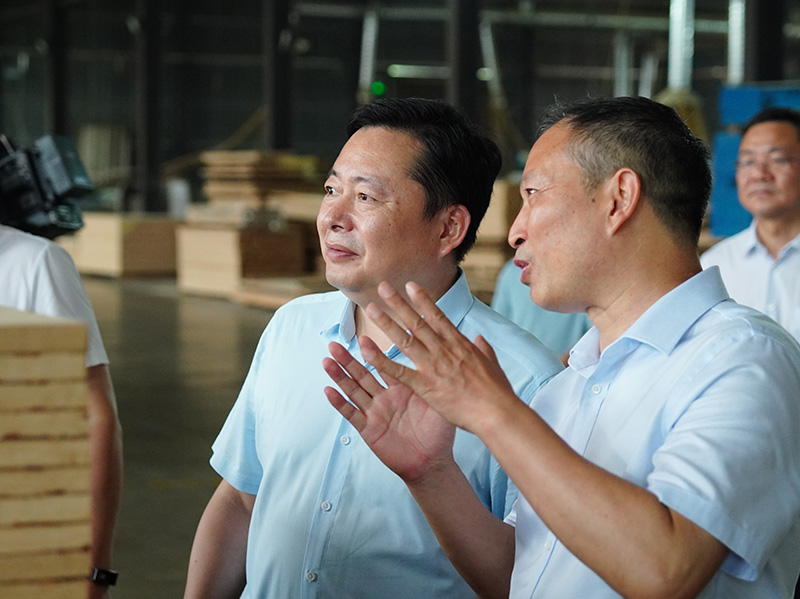 桃花江竹材董事長(zhǎng)正在向熊市長(zhǎng)匯報(bào)